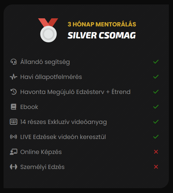 SILVER MENTOR CSOMAG (3 Hónap)